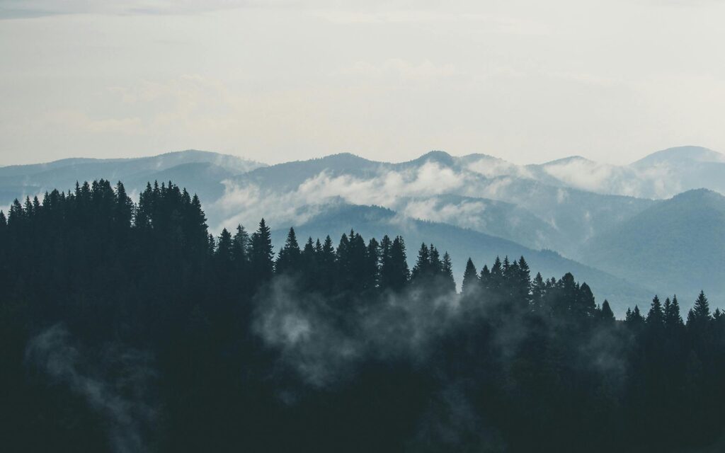 mountains-clouds-forest-fog-9754 A scenic view of misty mountains and dense forest, perfect for nature lovers.